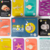 Mola Mola - Imagen 3